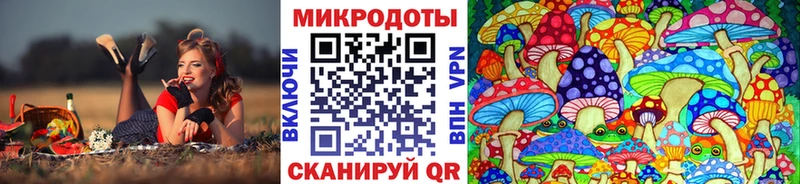 Галлюциногенные грибы Psilocybine cubensis  купить  цена  Дальнереченск 
