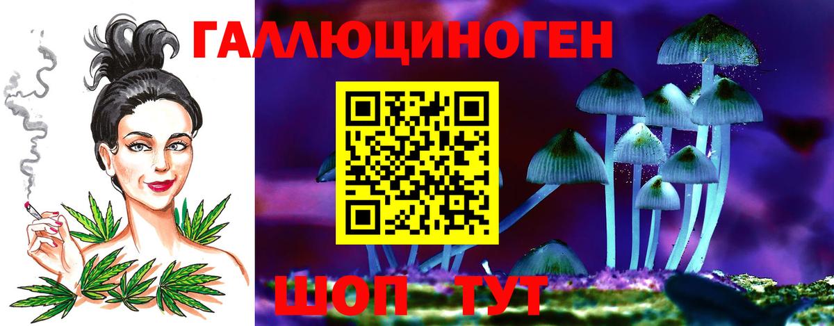 Галлюциногенные грибы Cubensis  Вход с VPN  Дальнереченск 